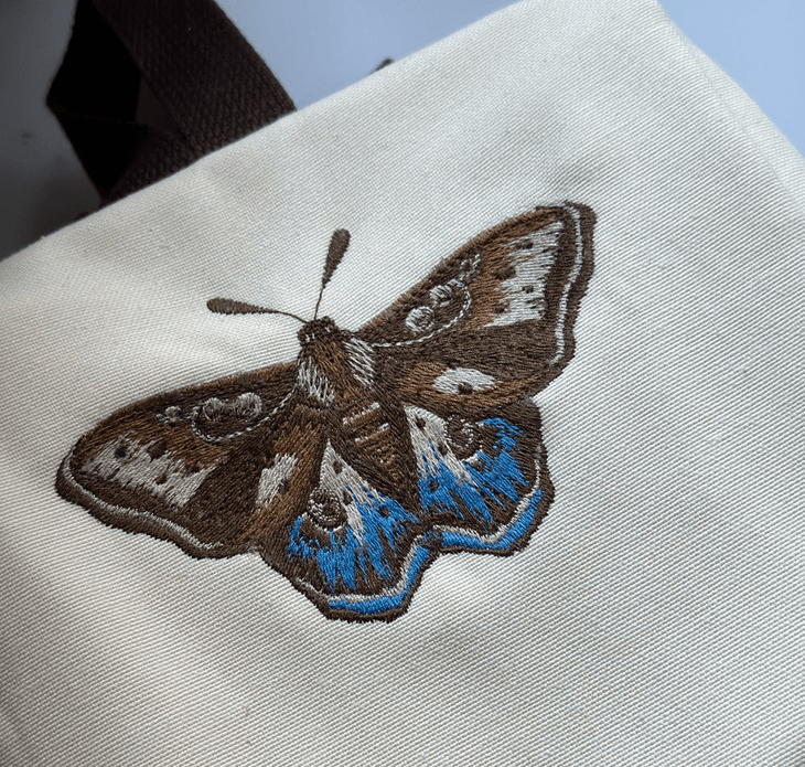 Morpho store